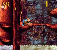 Donkey Kong Country 3 sur Nintendo Super Nes